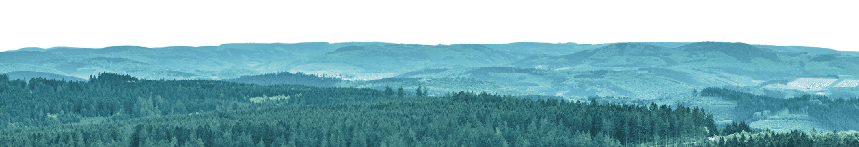 Sauerland Berge und Wald